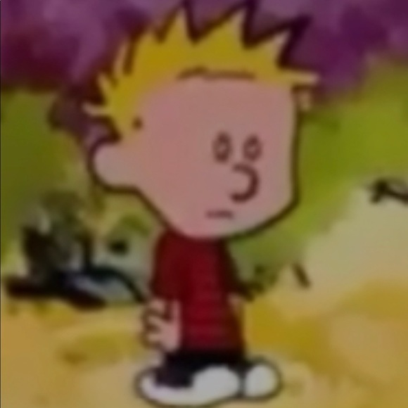 Meet your Posher, Daniel - Picture 1 of 1